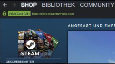 Steam Guthaben Geschenkkarten verschenken direkt online Supermarkt
