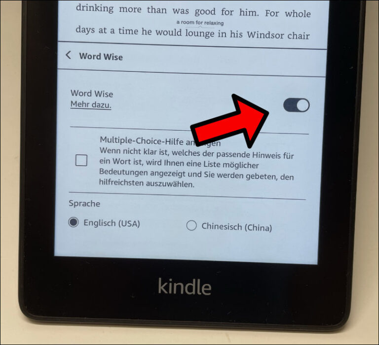 What Does Word Wise Mean On Kindle