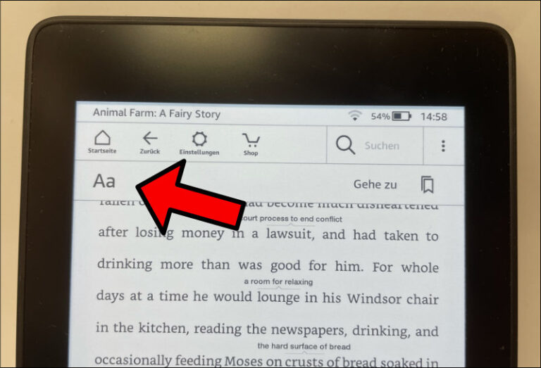 Kindle Word Wise ausschalten so geht's!